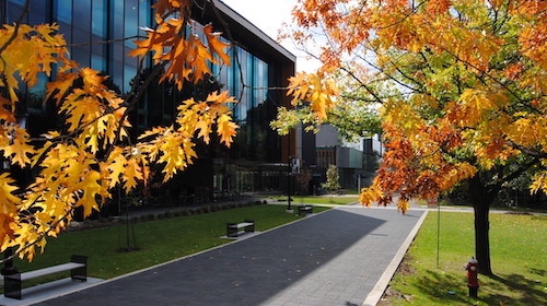 UTM TCard office - CCT building